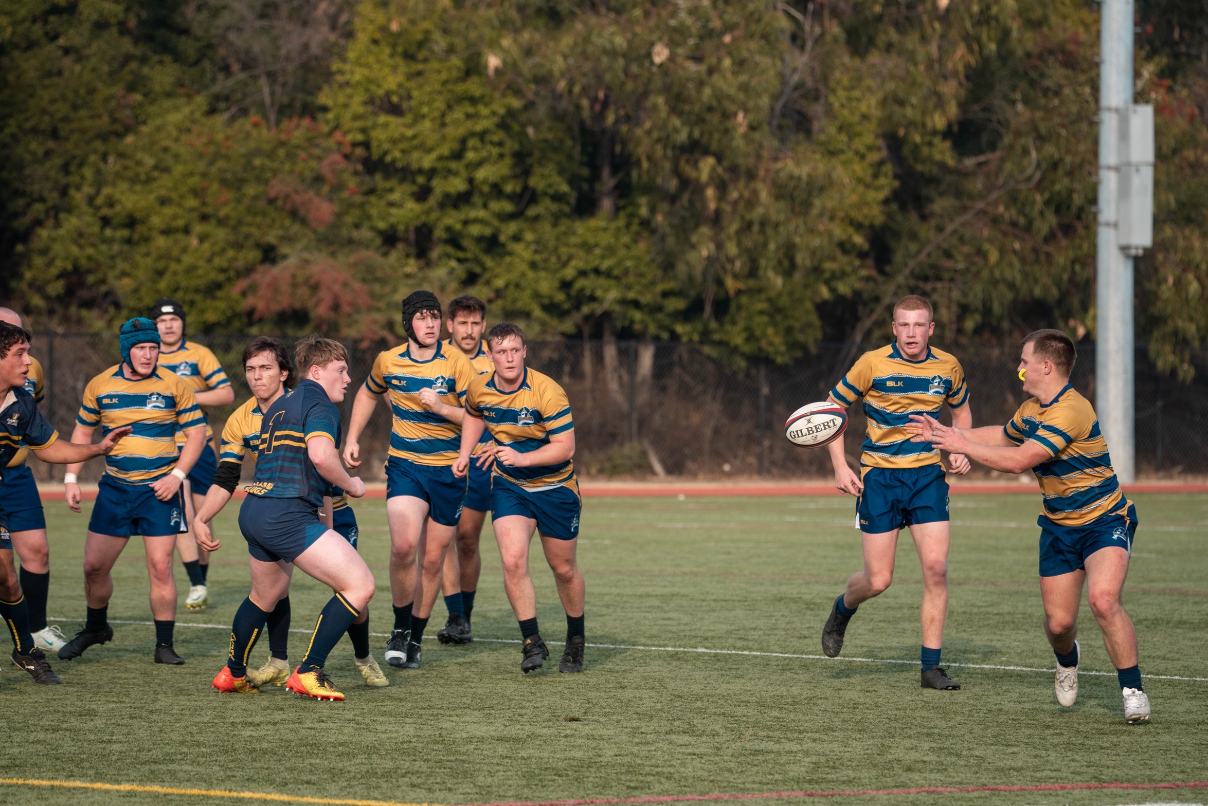 March 1 home game vs. Chico State postponed